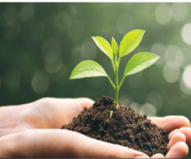 Çevreye Duyarlı